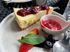 -bluefrog蓝蛙(皇庭广场店)