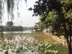 -思念果岭悦温泉