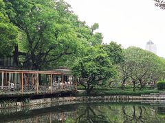 -晓港公园