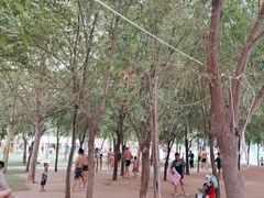 -奥帕拉拉水公园