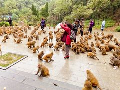 -黔灵山公园-南门售票处