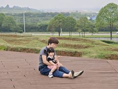 -空港花田景区