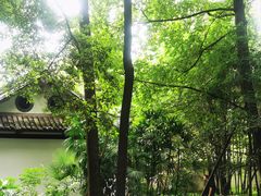 -成都杜甫草堂博物馆