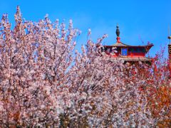 -石岛赤山风景区