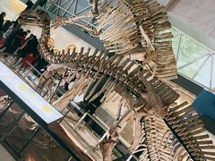 -湖南省地质博物馆