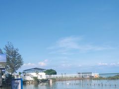 -红树林天天赶海