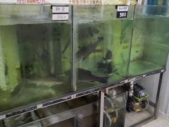 -凯盈阁·顺德私房菜·桑拿鸡
