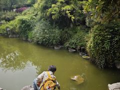 -采石矶景区