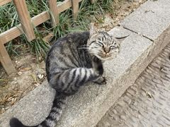 -西园戒幢律寺