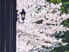 -新天地活力PARK