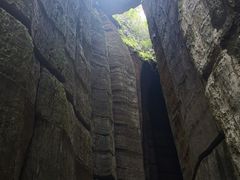 -梦幻奥陶纪景区