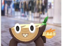 -小大董·烤鸭(凤凰汇店)