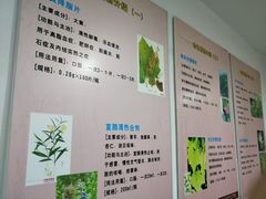 -上海市黄浦区香山中医医院