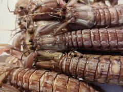 -赶海部落海鲜城(海阳路店)