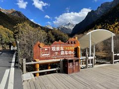 -稻城亚丁景区-冲古草甸