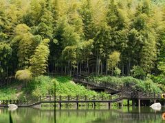 -宝岩生态观光园