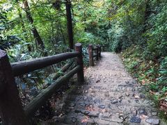 -藏龙百瀑风景区