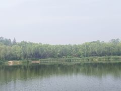 -北坞公园
