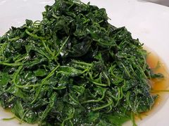 -天福苑(崇宁路店)