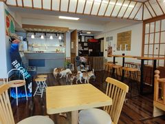-豆柴町-柴犬主题狗咖(红鼎国际C座店)