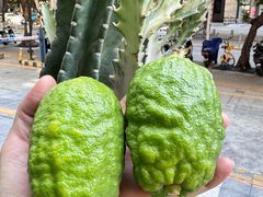 -逗号咖啡(信义荔山公馆店)