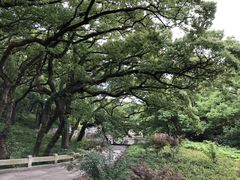 -普陀山风景名胜区-法雨禅寺