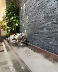 -爱儿美儿童摄影(奥森公园店)