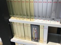 -蒙特利尔皮埃尔·埃利奥特·特鲁多国际机场