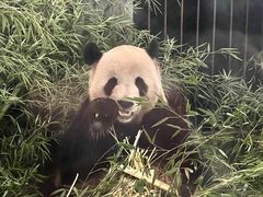 -云南野生动物园