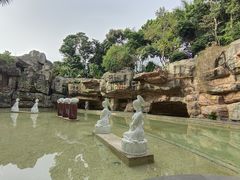 -海口观澜湖火山温泉谷