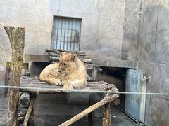 -西安秦岭野生动物园