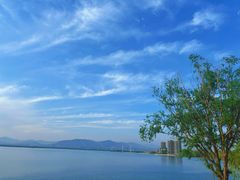 -观澜湖底捞(观澜墅店)