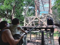-长鹿旅游休博园