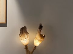 -冰岛阴茎博物馆