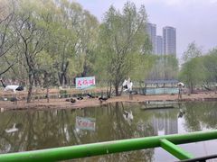 -长白岛森林公园