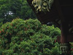 -西禅古寺售票处