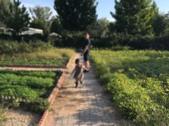 -意大利农场度假村