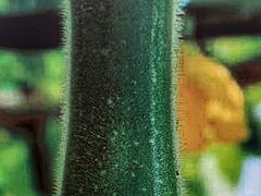 -水乡人家私房菜(逢简店)