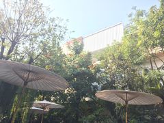 -Fern Forest Cafe
