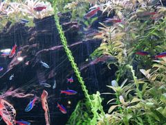 -上海海洋水族馆