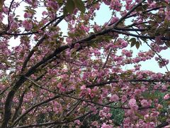 -苏州河梦清园环保主题公园