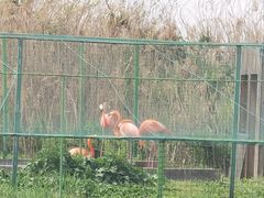 -西山漾湿地公园