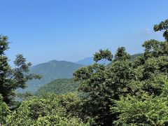 -北仑森林植物园