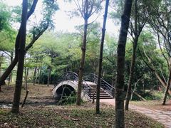 -白沙门生态公园