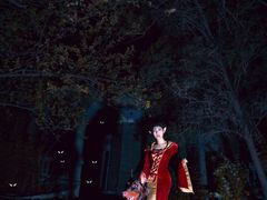 -超宠爱宠物摄影-Super pet
