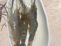 -上宴精品海鲜姿造(晶融汇旗舰店)