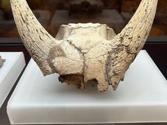 -河姆渡遗址博物馆