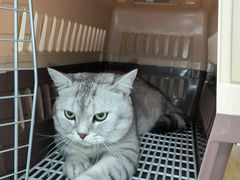-美联众合动物医院·24h京西诊疗中心