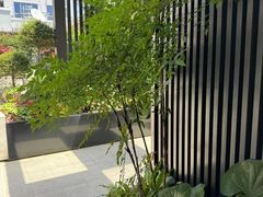 -南京东方珍珠voco酒店