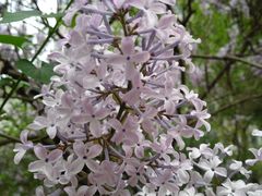 -永和大王(小厨·东四十条店)